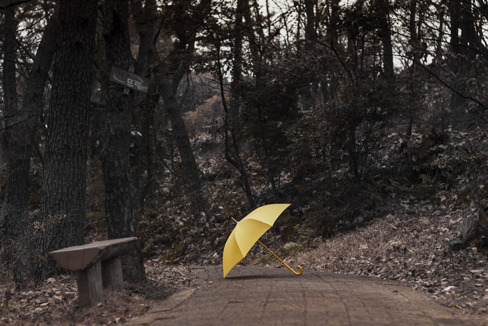 yellow umbrella on brown wooden bench near trees during daytime