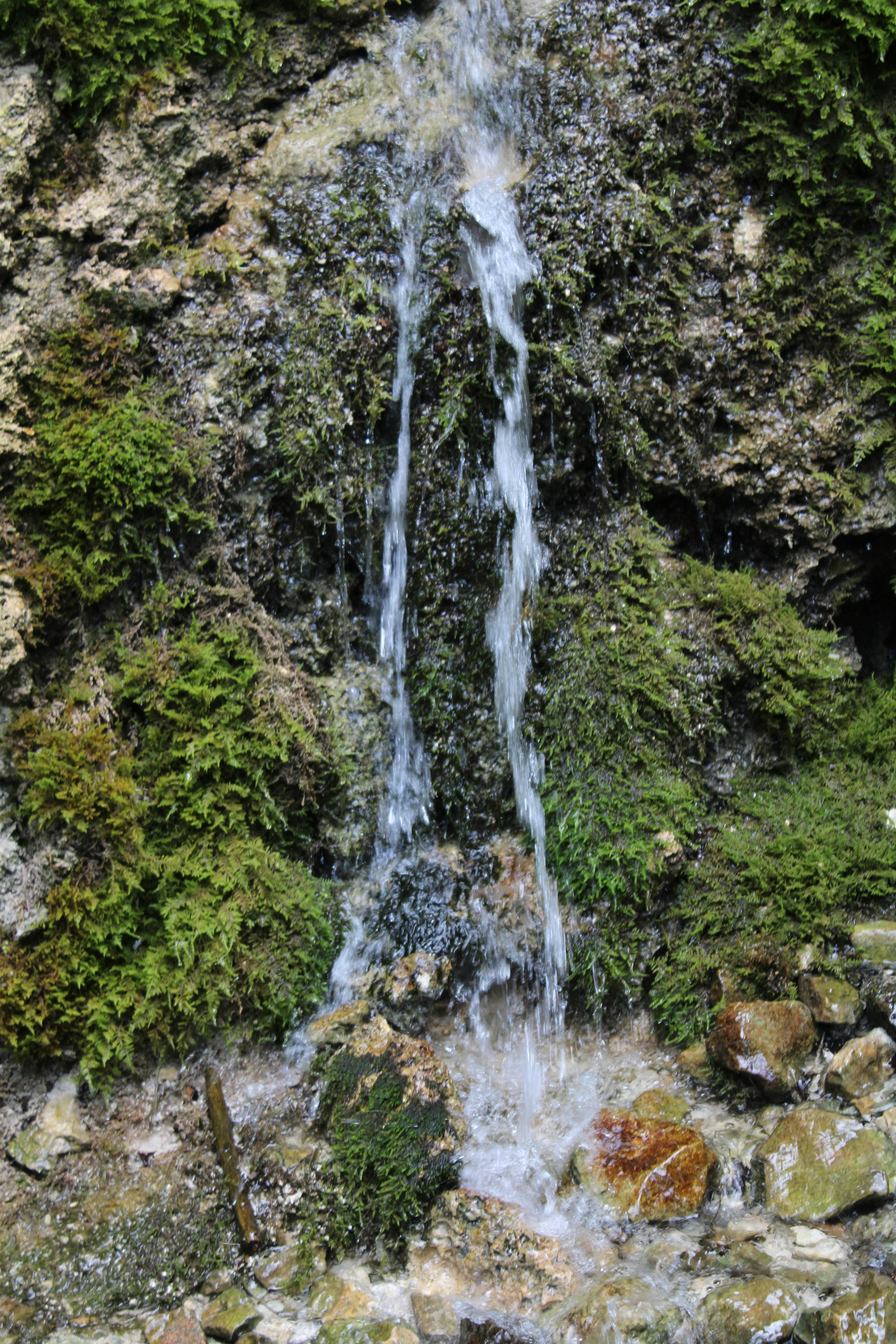 Streaming Guide: Where to Watch the Year's Best Indies (2026)