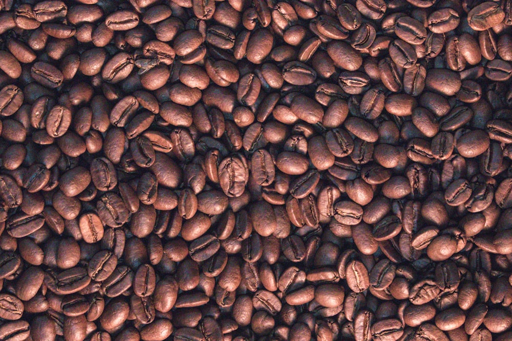 coffee beans on brown wooden surface