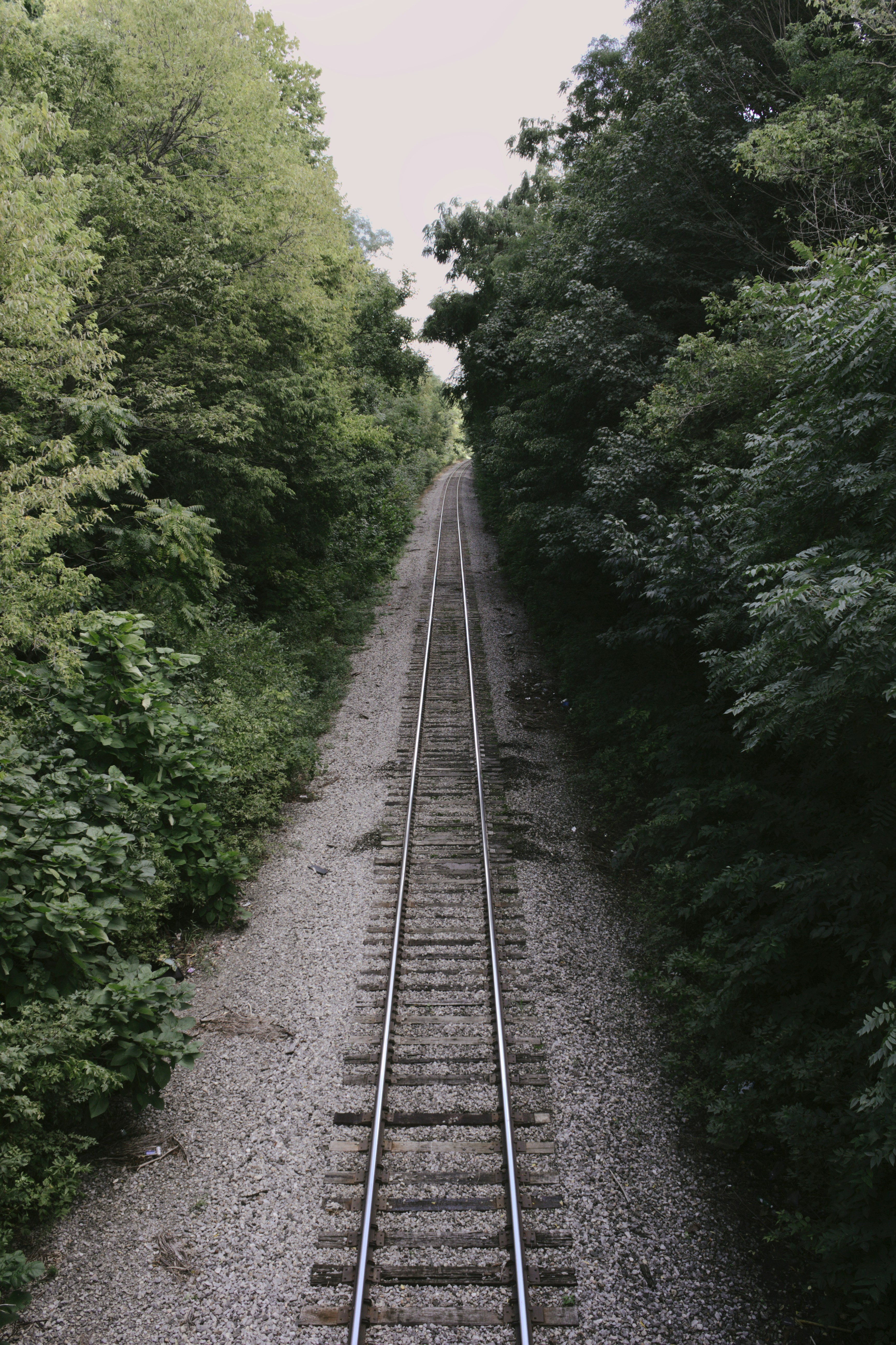 Photo by mrgreatheart