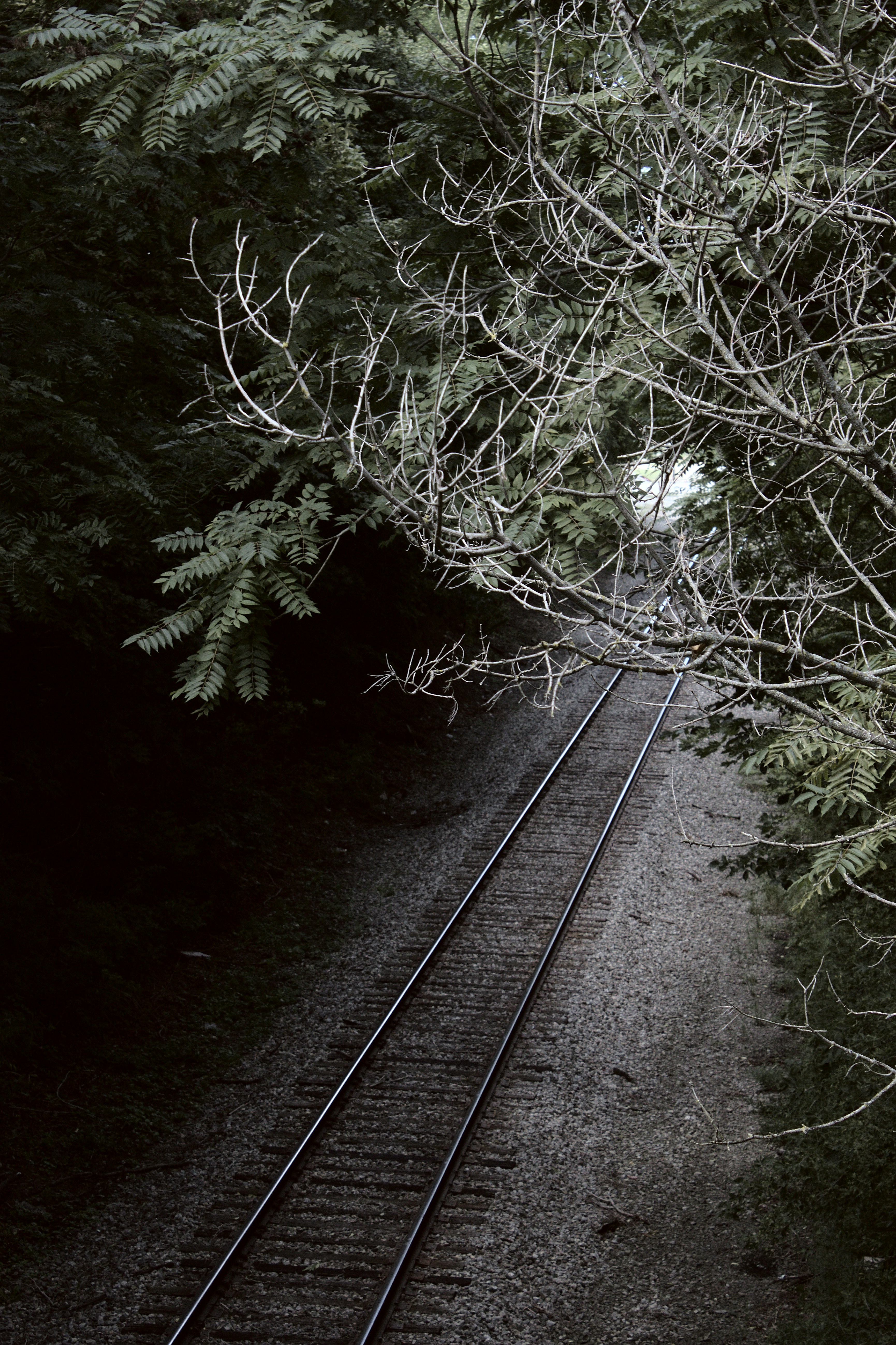 Photo by mrgreatheart