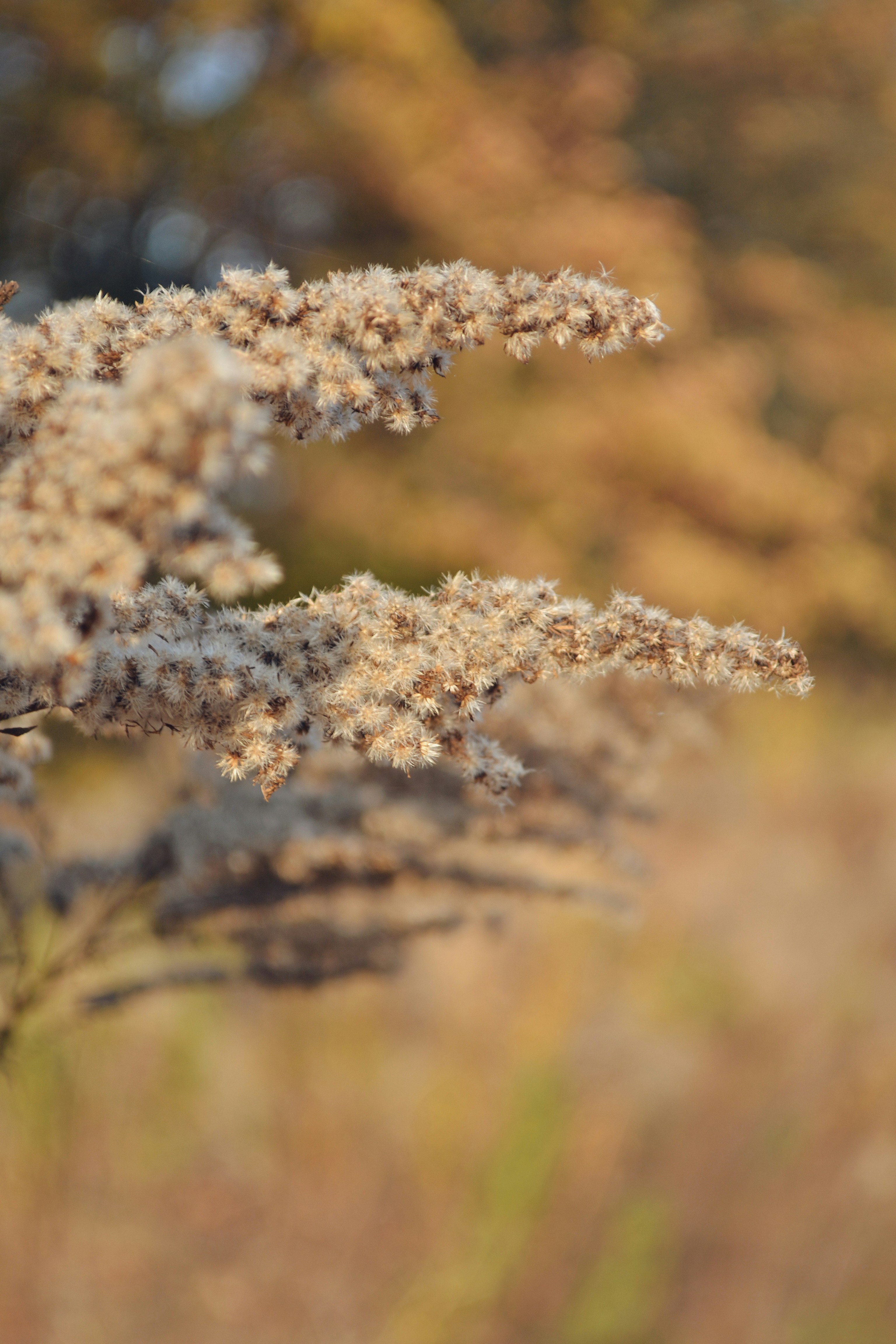 Photo by yuliiabarabash