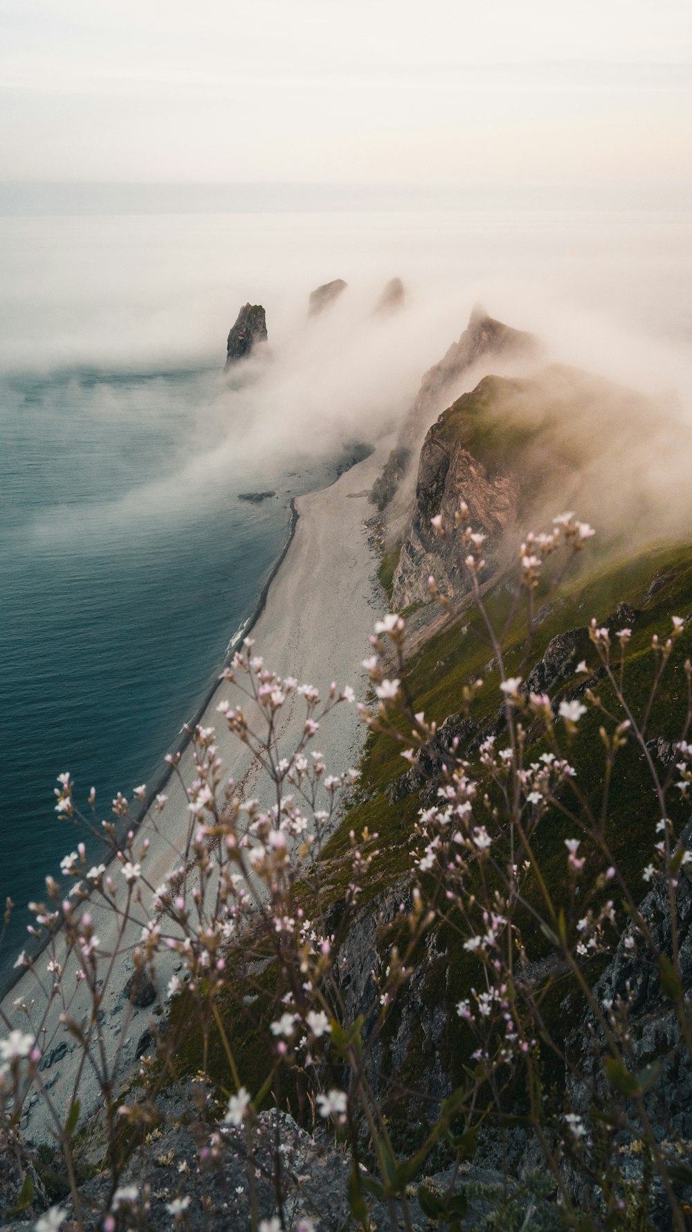 green grass field near sea