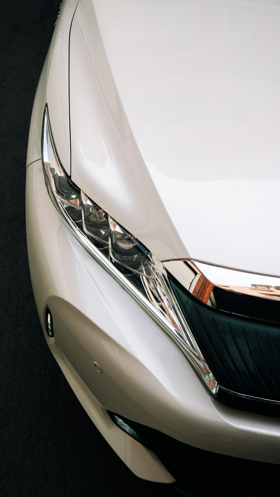 white car with white and brown license plate