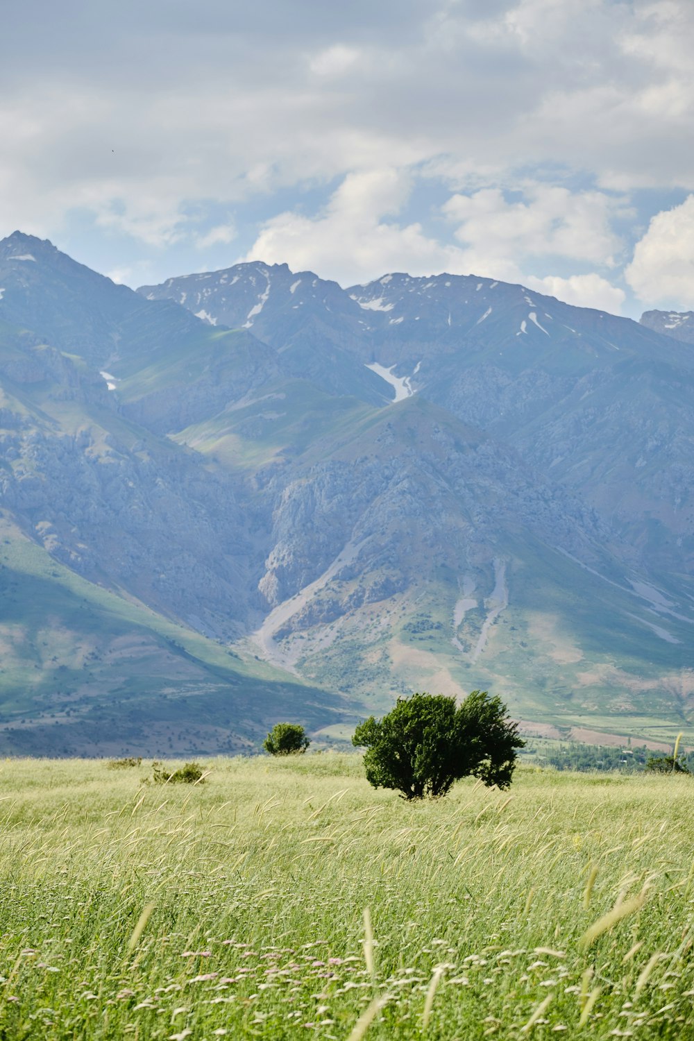 green grass field near mountain during daytime