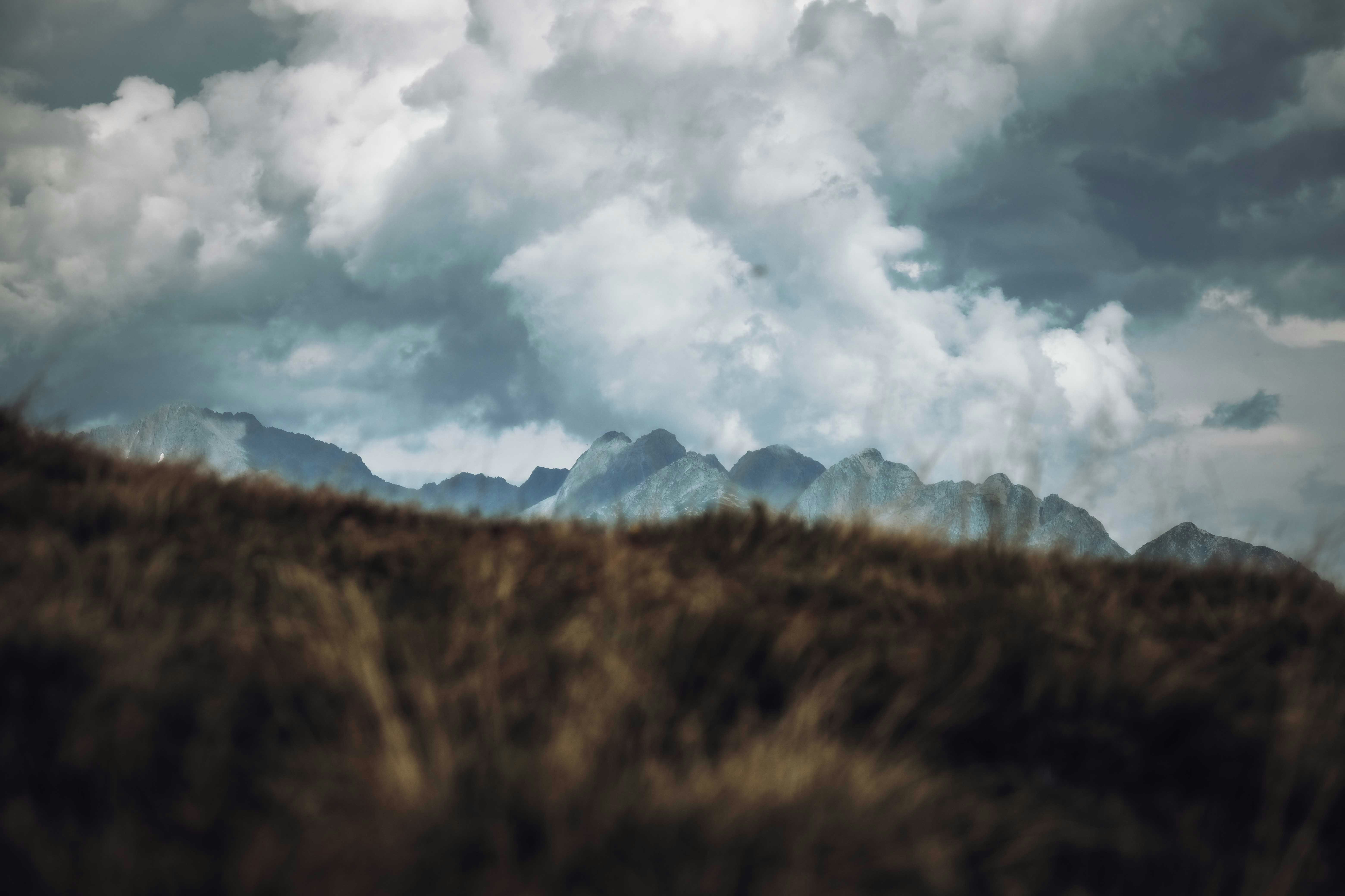 Photo by francesco_ungaro