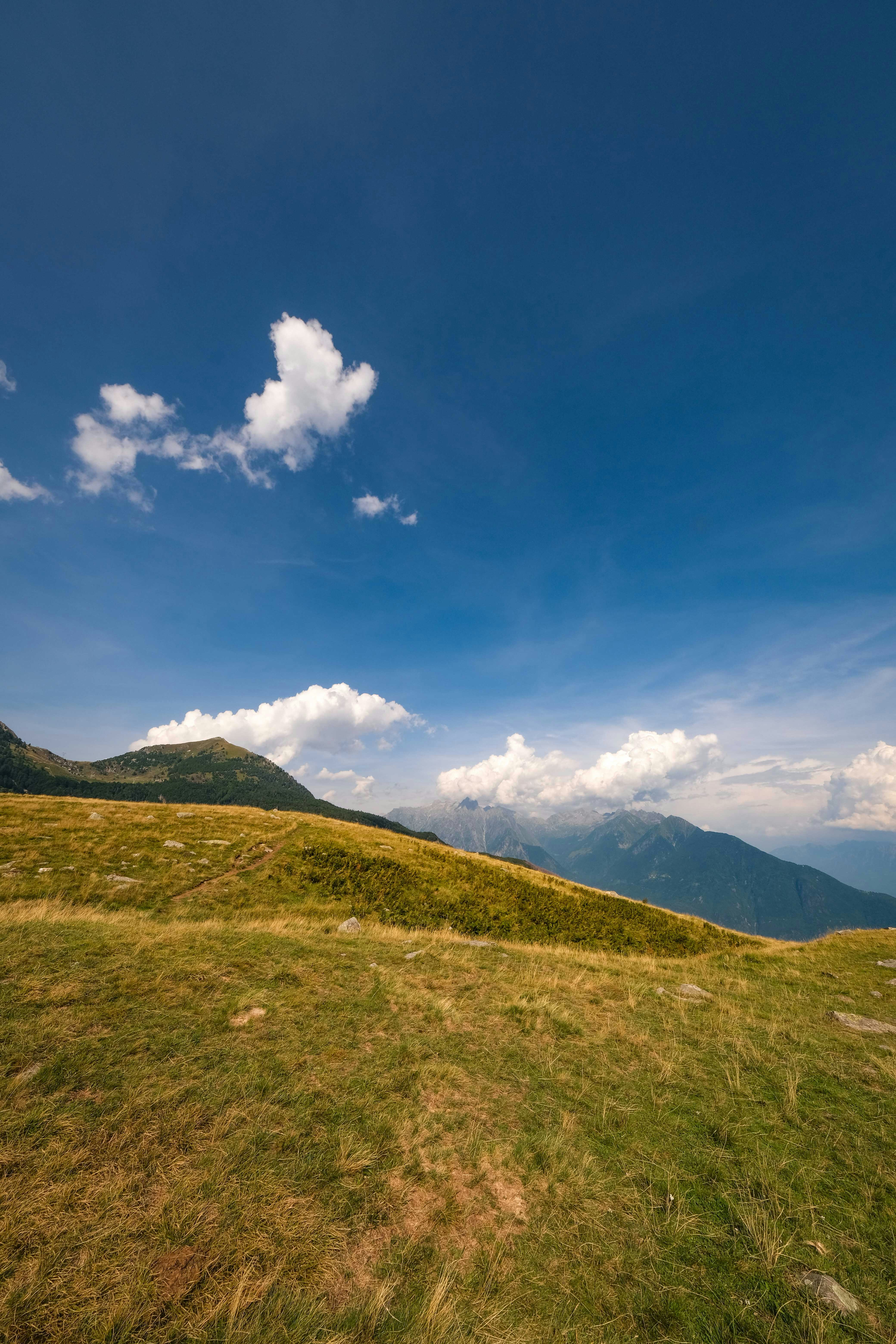 Photo by francesco_ungaro