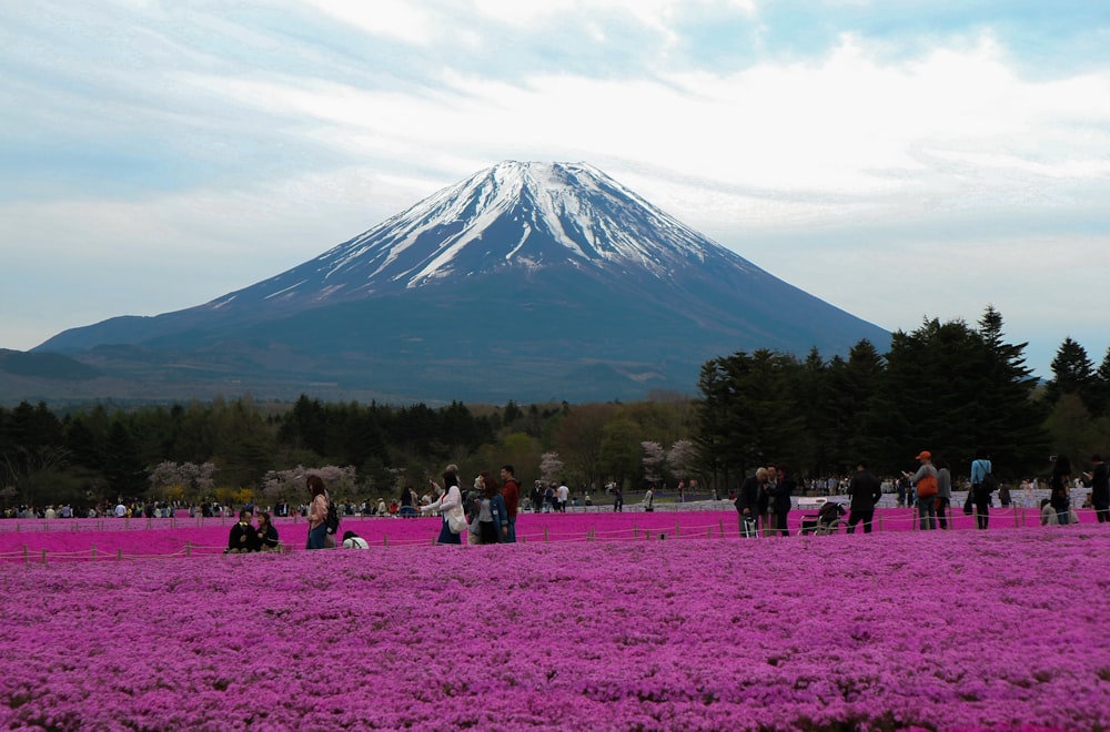 people standing on green grass field near mountain under white clouds and blue sky during daytime