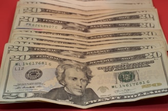 20 us dollar bill