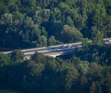 white and black train on track surrounded by green trees during daytime