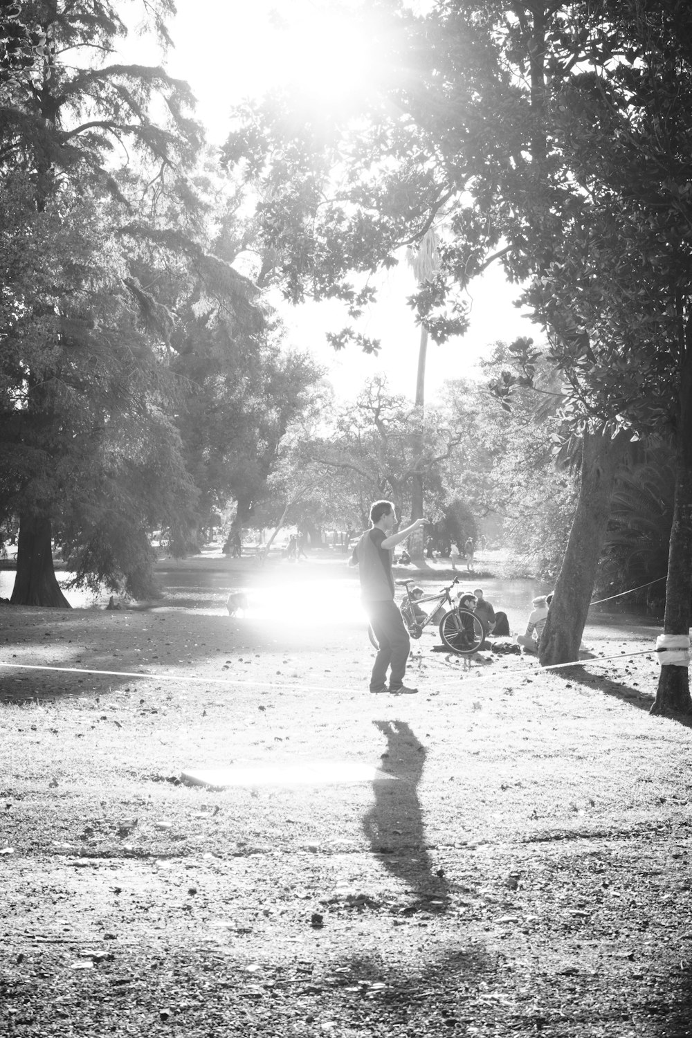 grayscale photo of woman sitting on concrete bench near trees