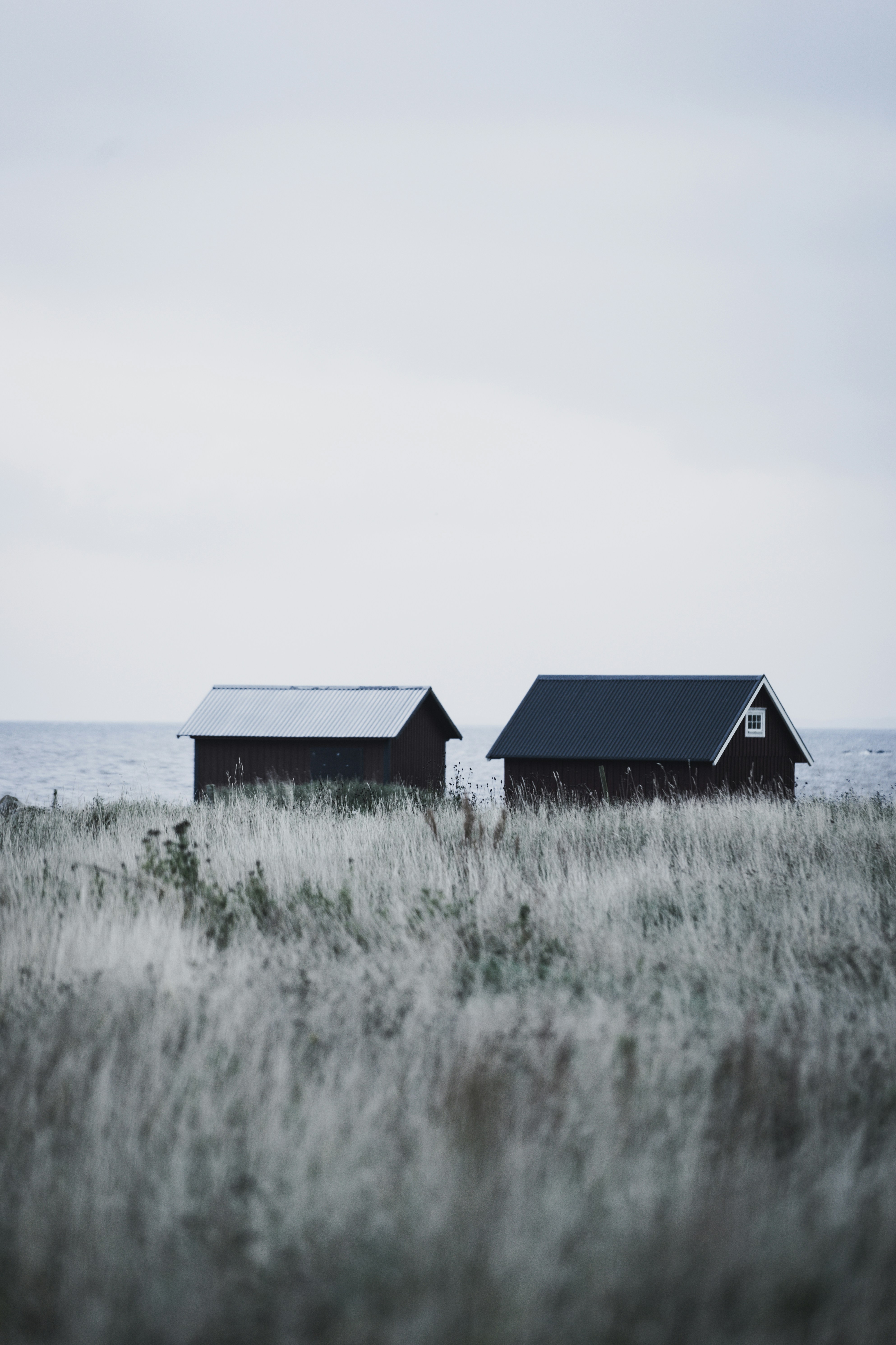 Photo by theverticalstory