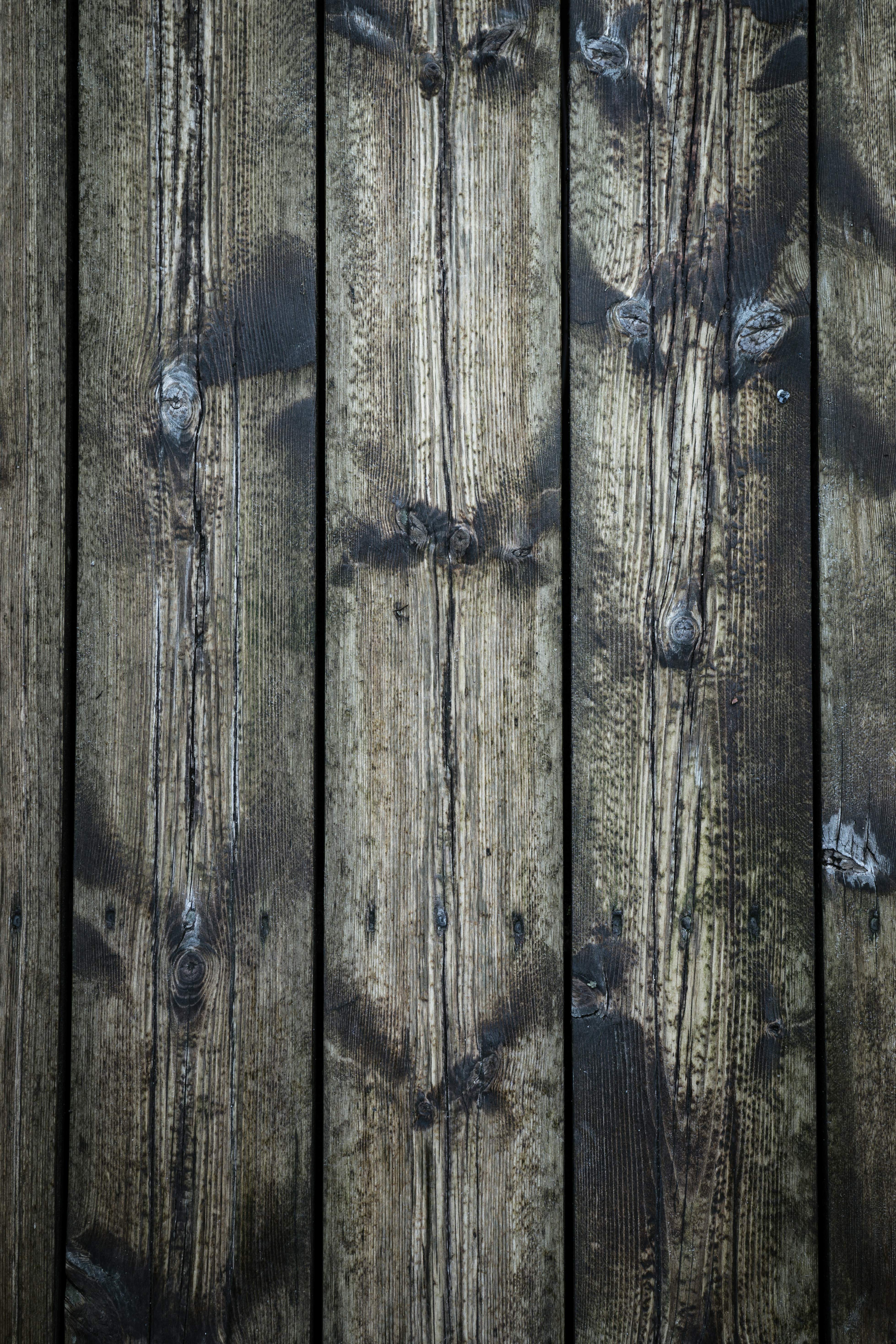 Photo by theverticalstory