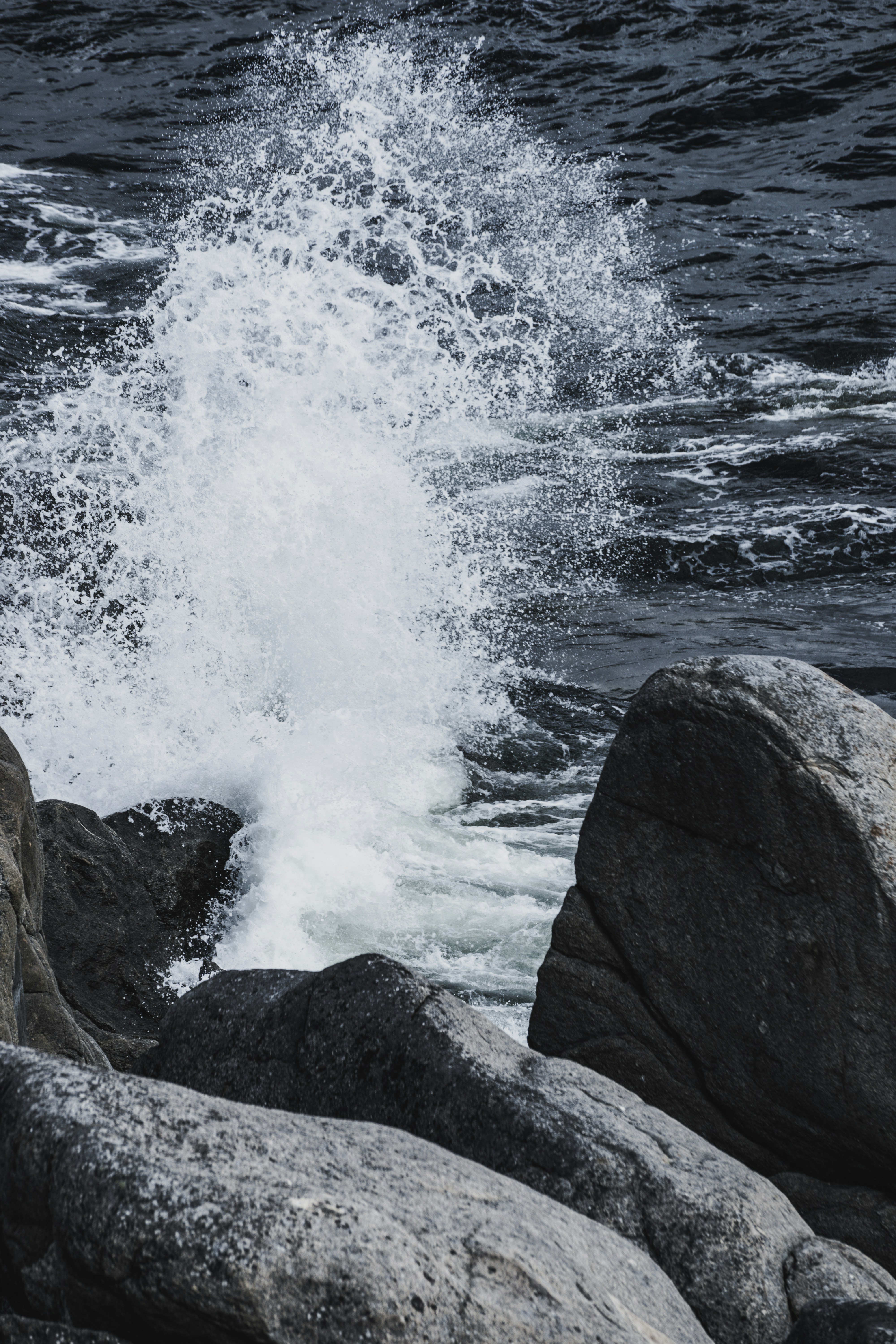 Photo by theverticalstory