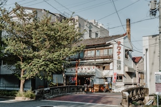 A traditional Japanese building with signs in Japanese lettering is nestled on a street corner. The structure has an old-fashioned architectural style with a tiled roof and wooden elements. A tree on the left side provides shade, and various electricity lines crisscross the sky. A small stone bridge is in the foreground leading towards the entrance lined with red lanterns.