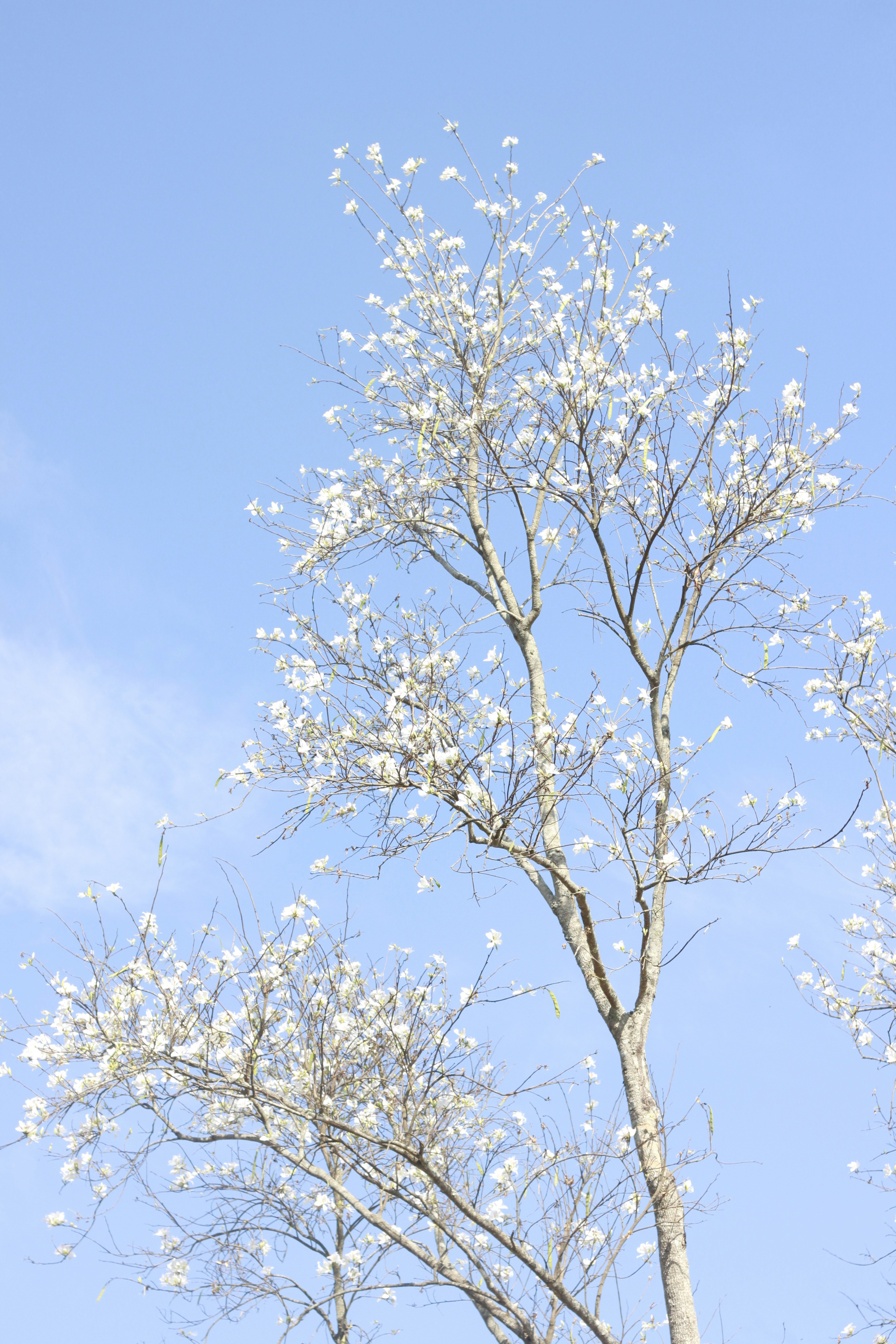 Photo by jtrinh_artwork