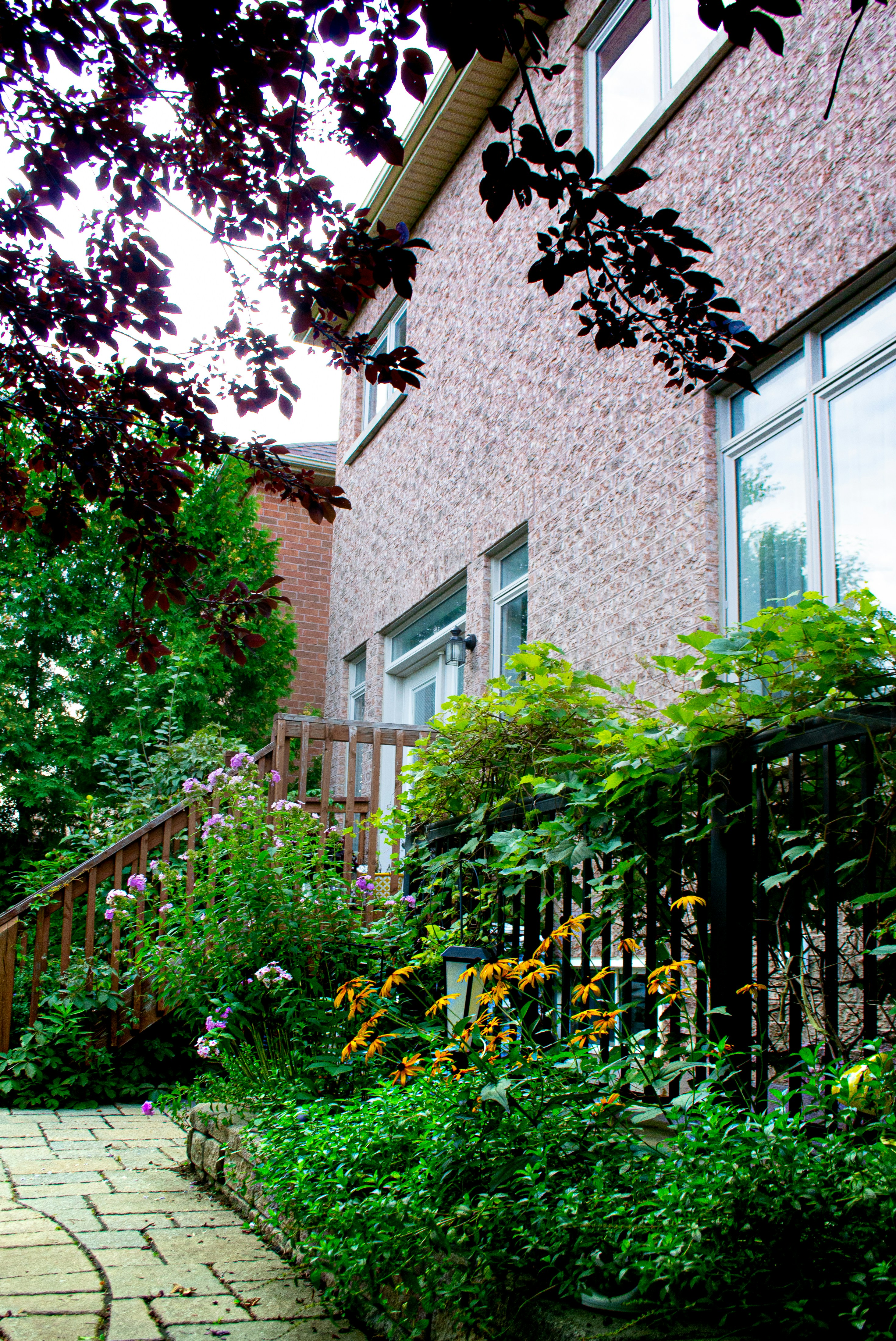 Modern Front Yard Plan