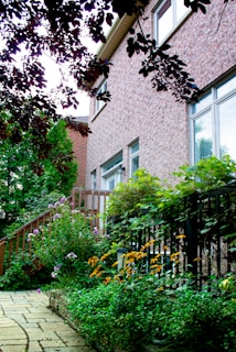 A garden path bordered by lush green plants and vibrant flowers leads up to a house with a brick facade. Overhead, tree branches with dark leaves frame the scene, adding depth to the composition. The house features large windows, and a wooden railing supports climbing greenery.