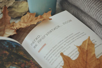 A cozy reading nook featuring a translated Ukrainian book with a backdrop of the Carpathian Mountains.