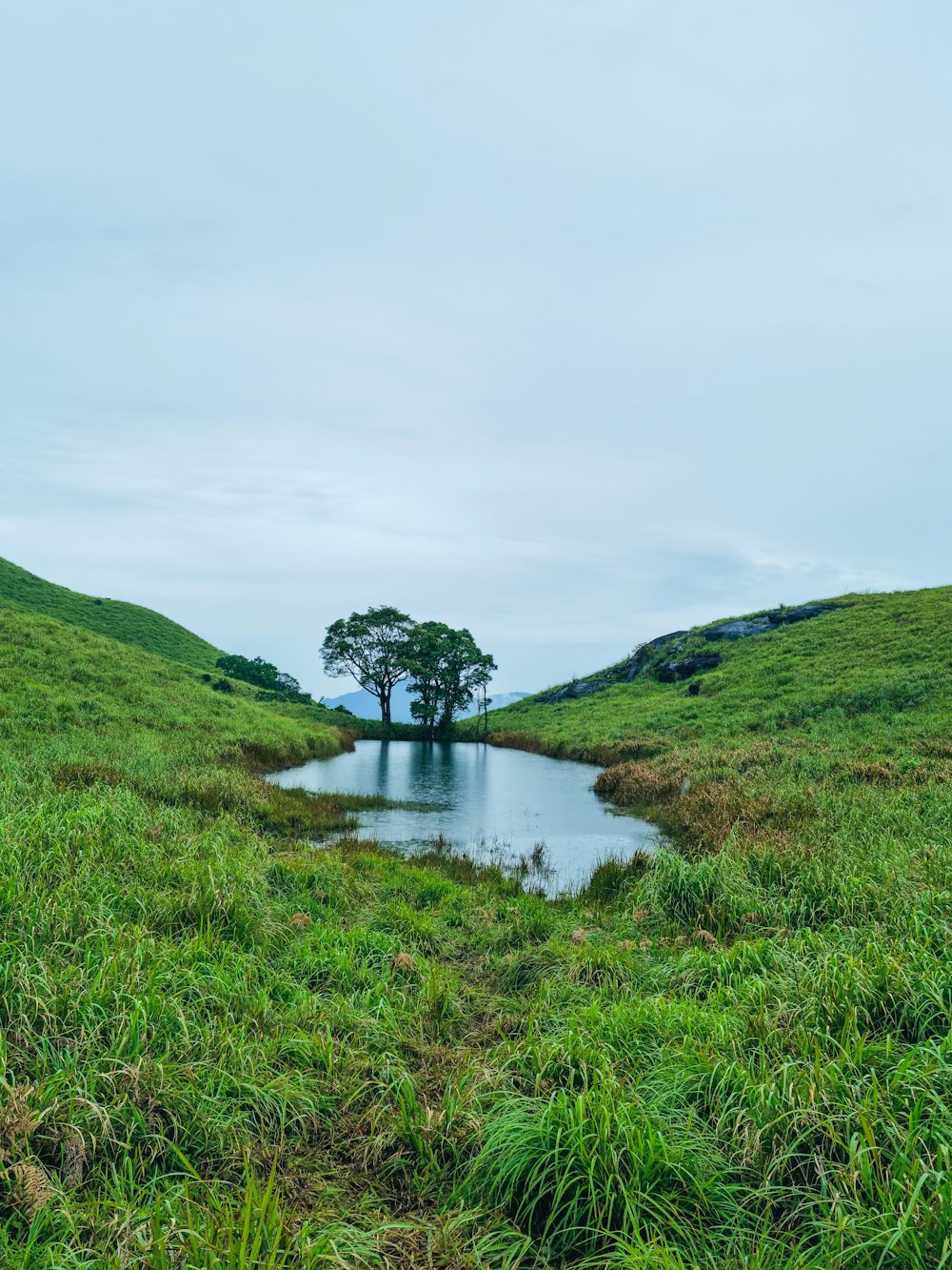 green grass field near lake under white sky during daytime