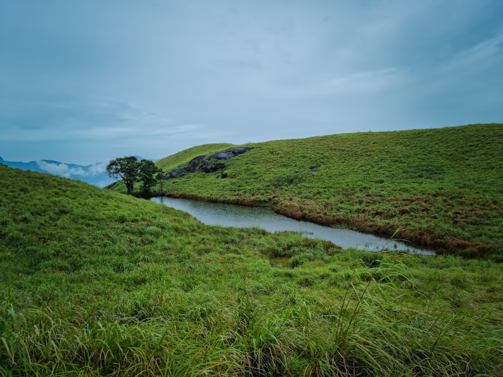 green grass field near river under white clouds during daytime