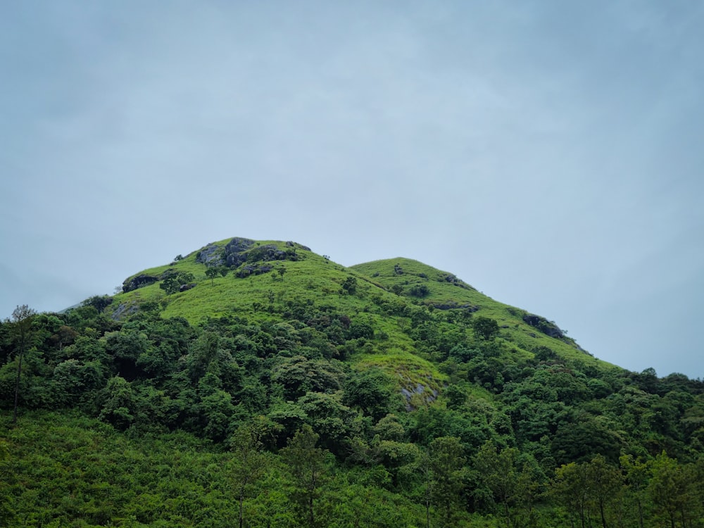 green trees on mountain under white sky during daytime