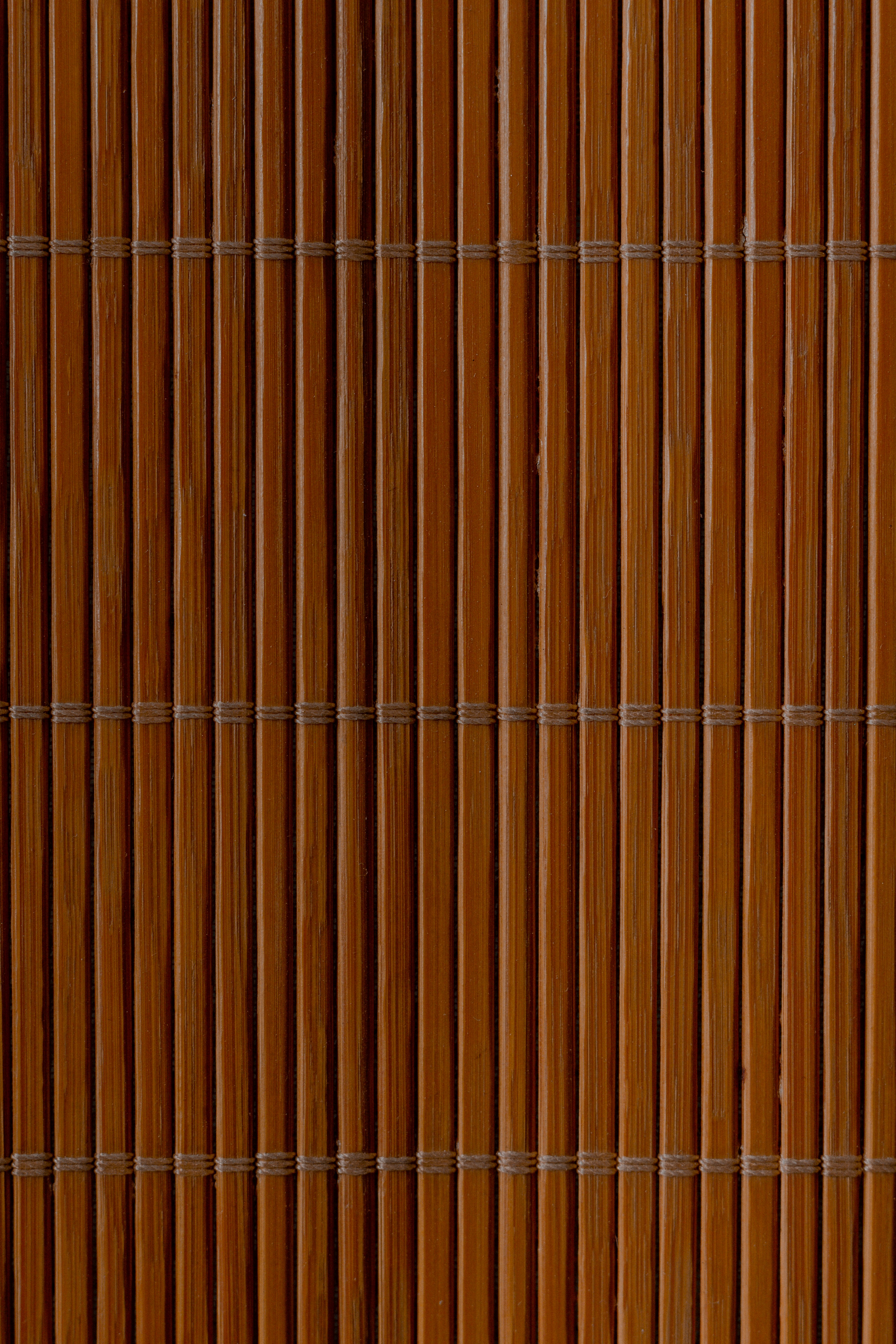 Photo by dylanhendricks