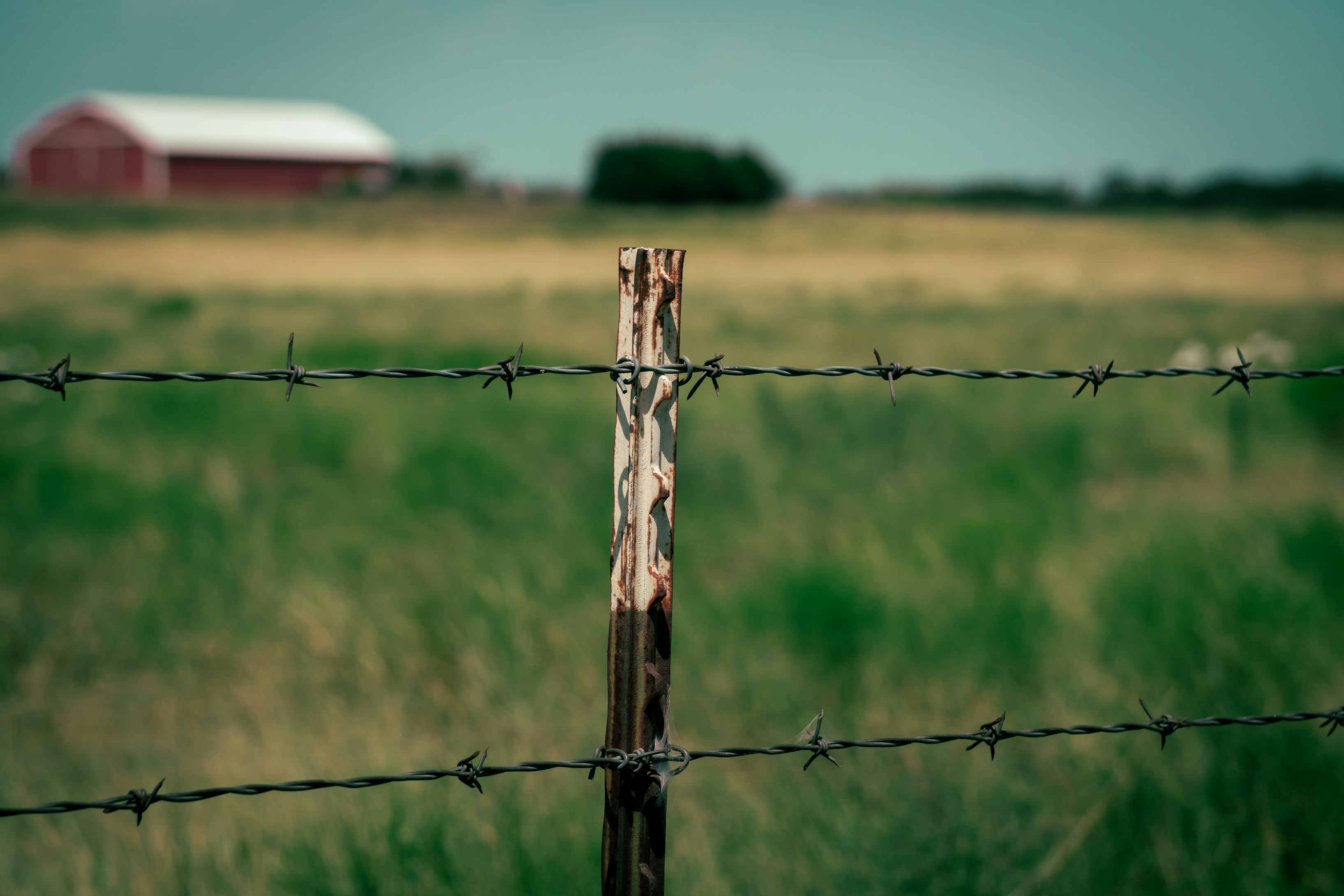 Researchers Designing Rugged Virtual Fence Tech for Animal Management