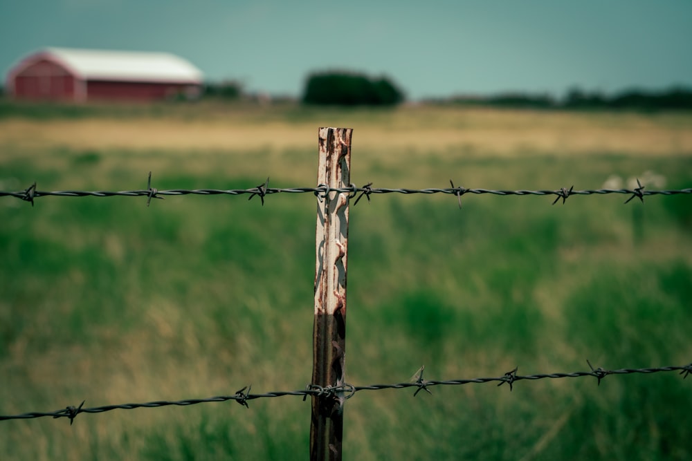 brown wooden fence with barbwire