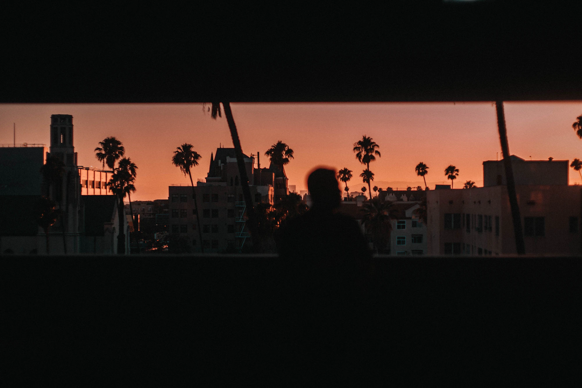 Los Angeles skyline with palm trees at dusk — neighborhood mood, stock photograph