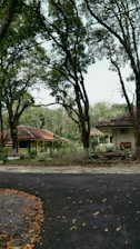 A quiet, rural scene featuring two small houses with red-tiled roofs nestled among large, leafy trees. The foreground shows a paved road with scattered dry leaves, and the background is filled with dense, green foliage. The houses are surrounded by a small garden area with plants and shrubs.