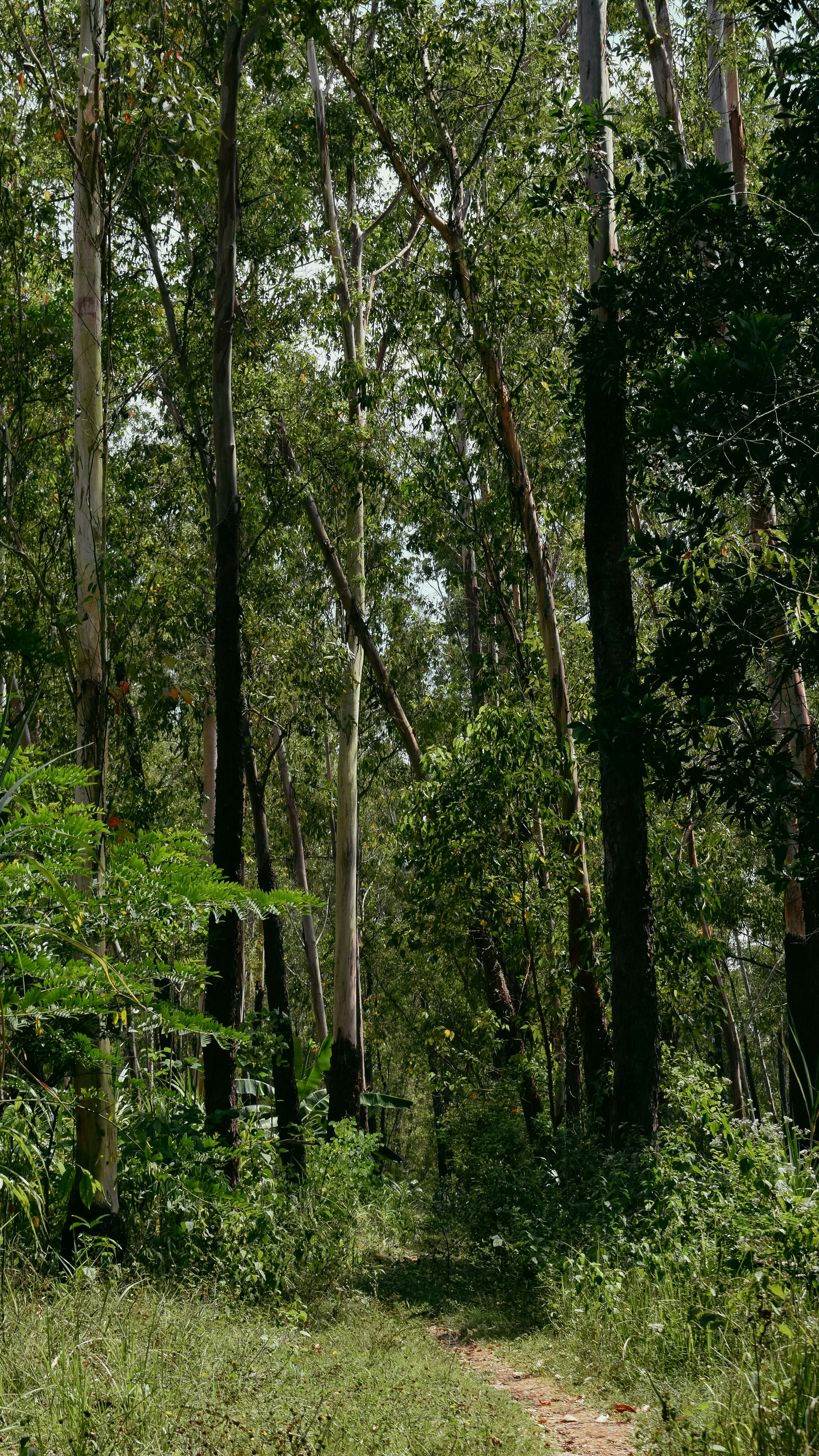 Photo by elangwardhana