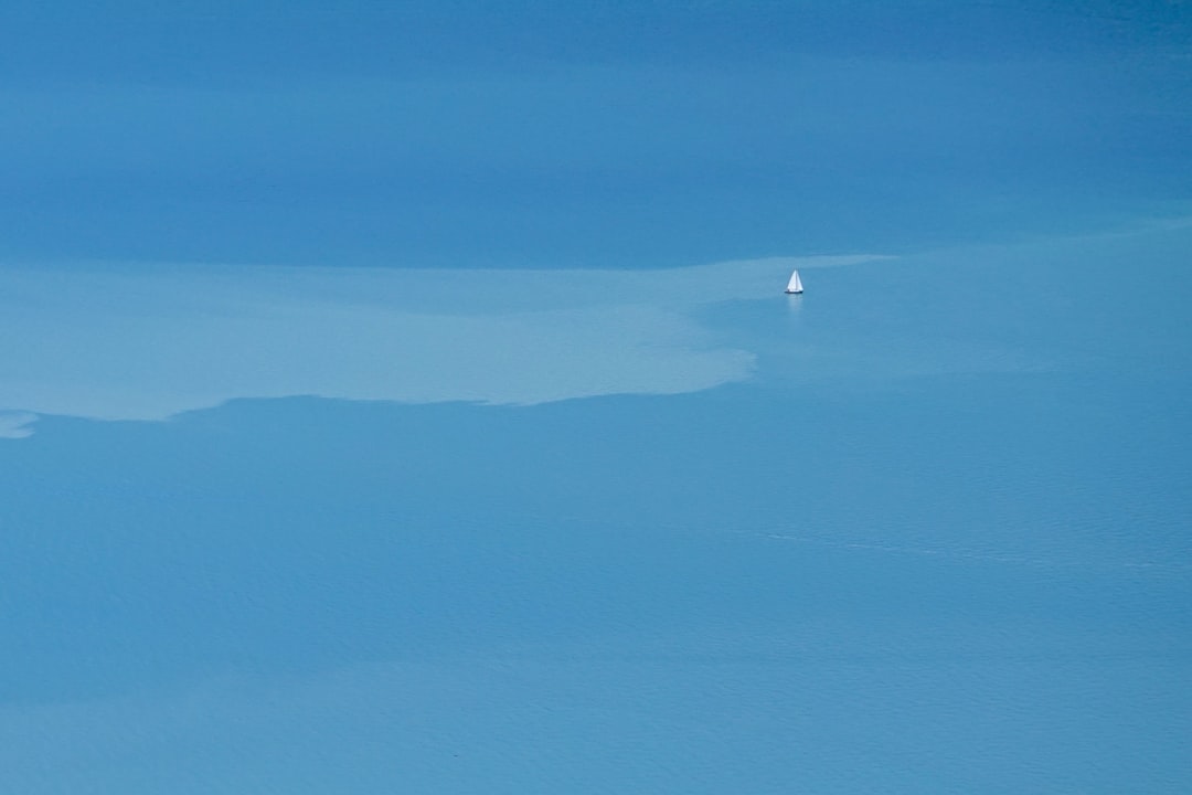 bird flying over the mountain during daytime