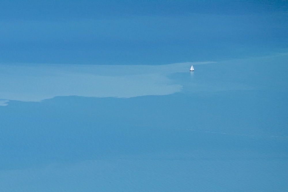 uccello che vola sopra la montagna durante il giorno