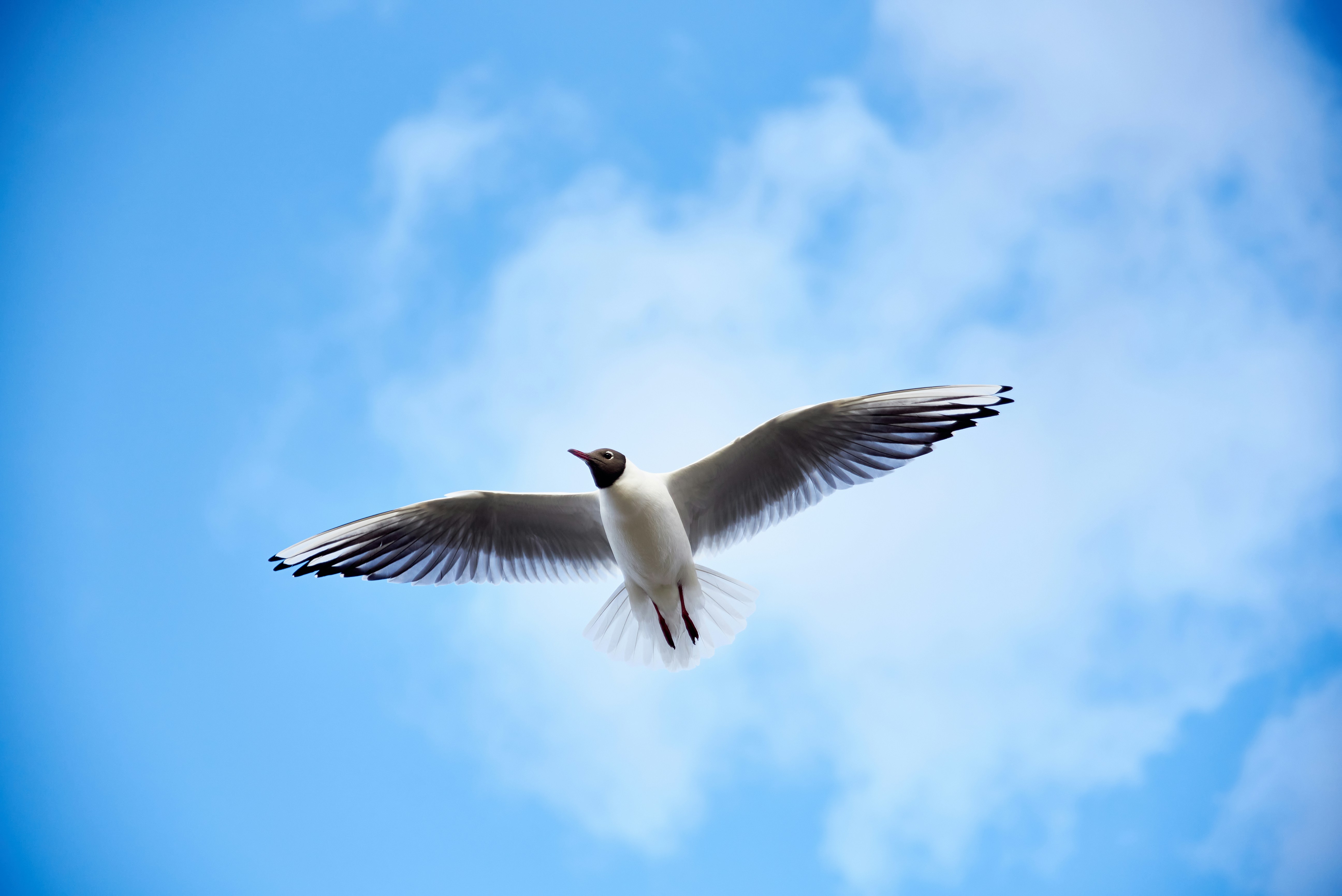 Photo by dreamerstranger