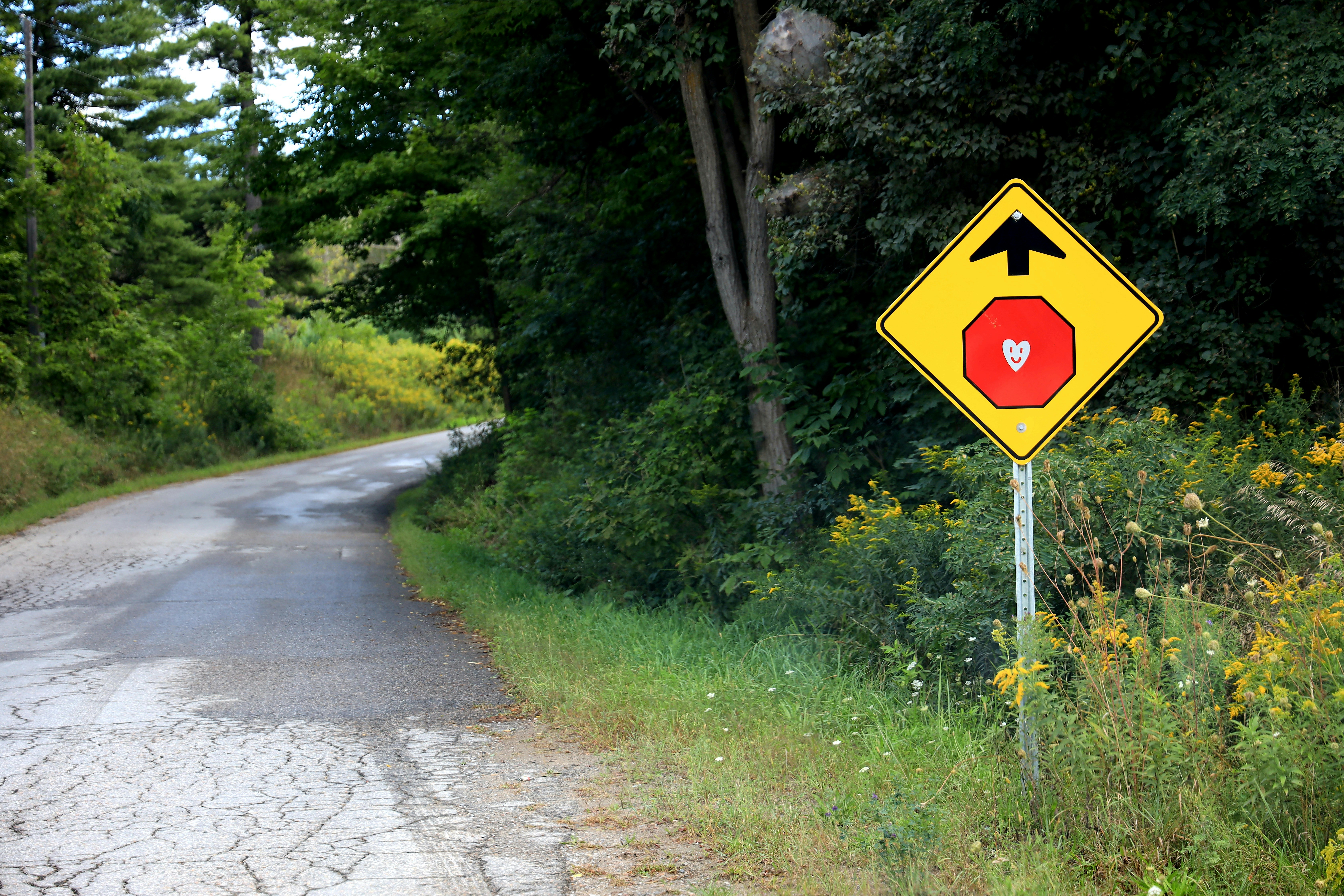 Photo by richardworks