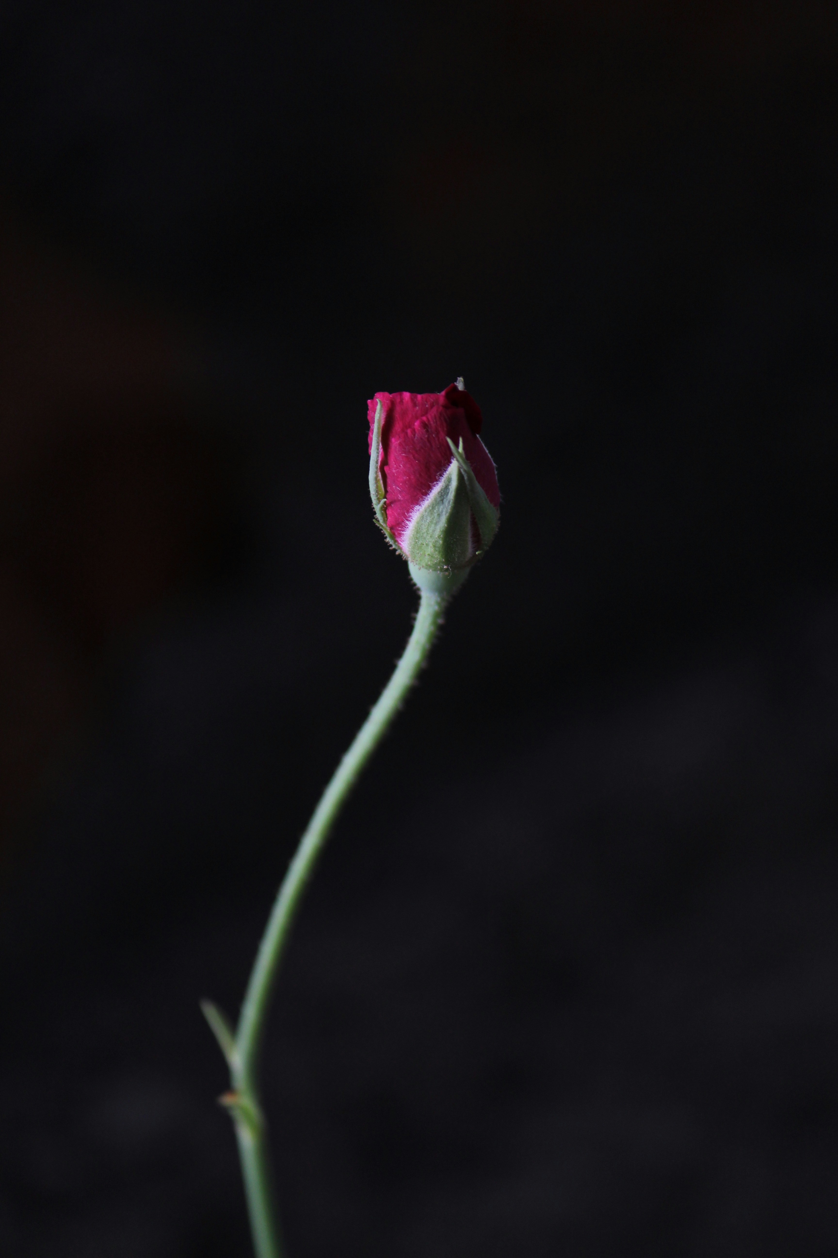 Photo by abhijeet_panchbhai156