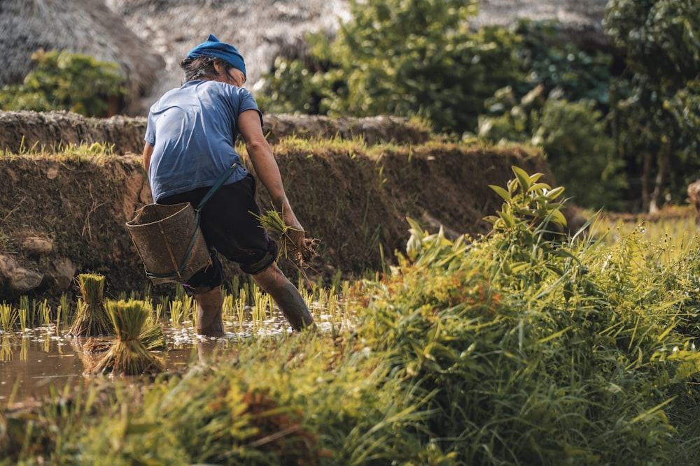 man in blue t-shirt and black shorts carrying brown basket walking on green grass field