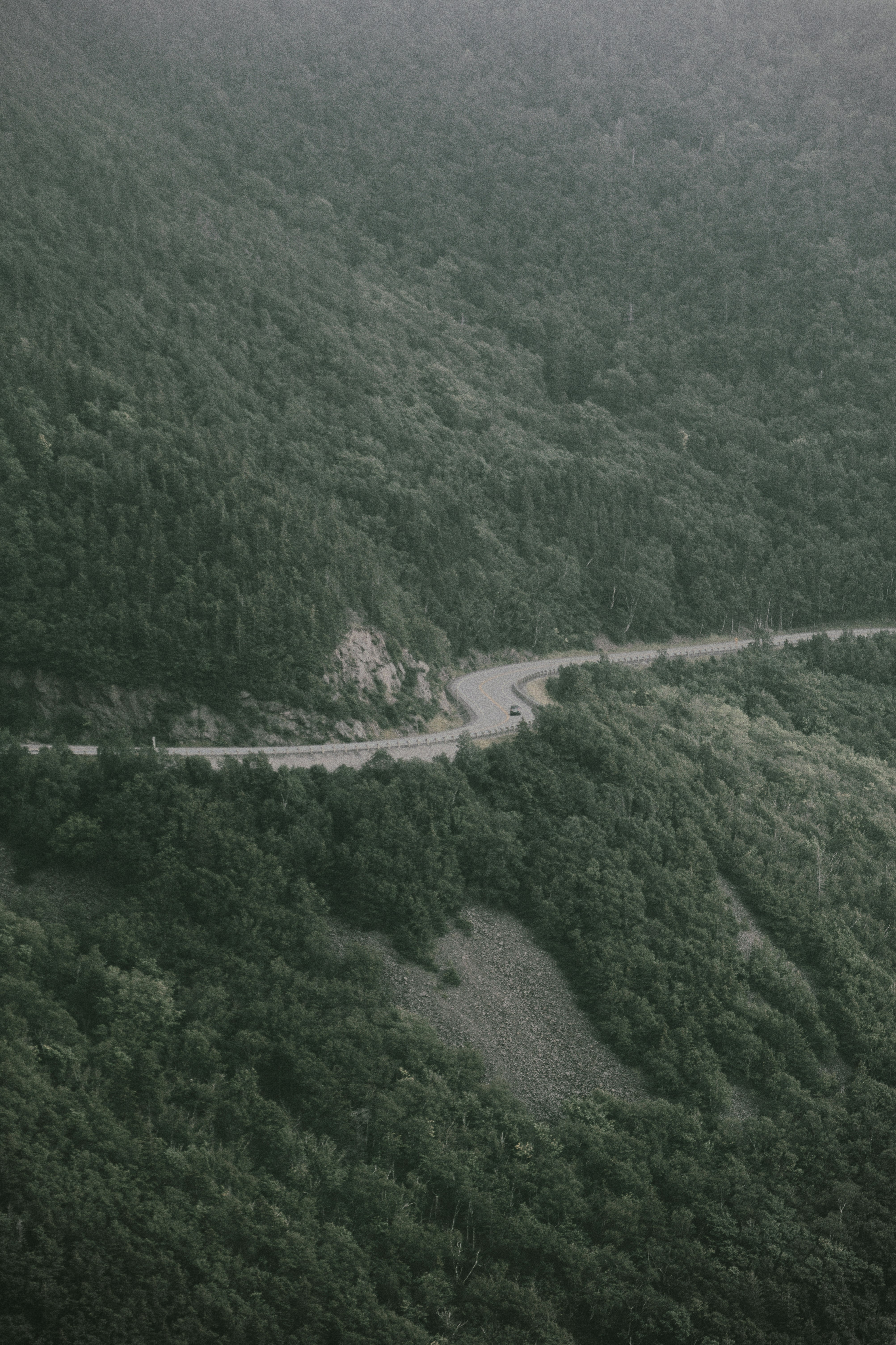 aerial view of green forest during daytime