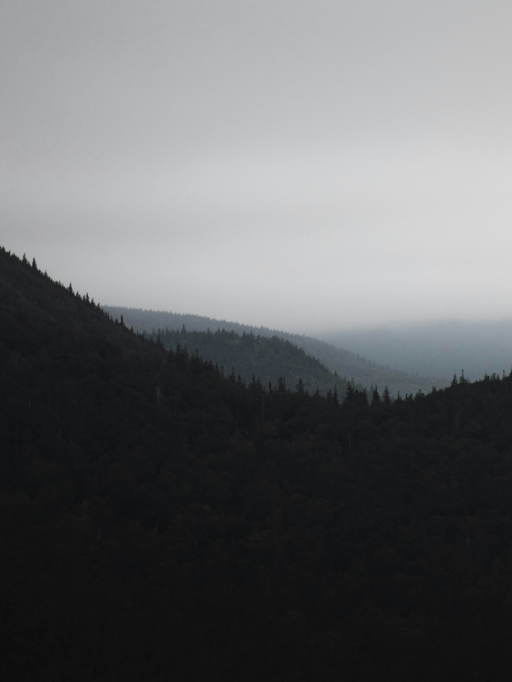 green trees on mountain under white sky during daytime