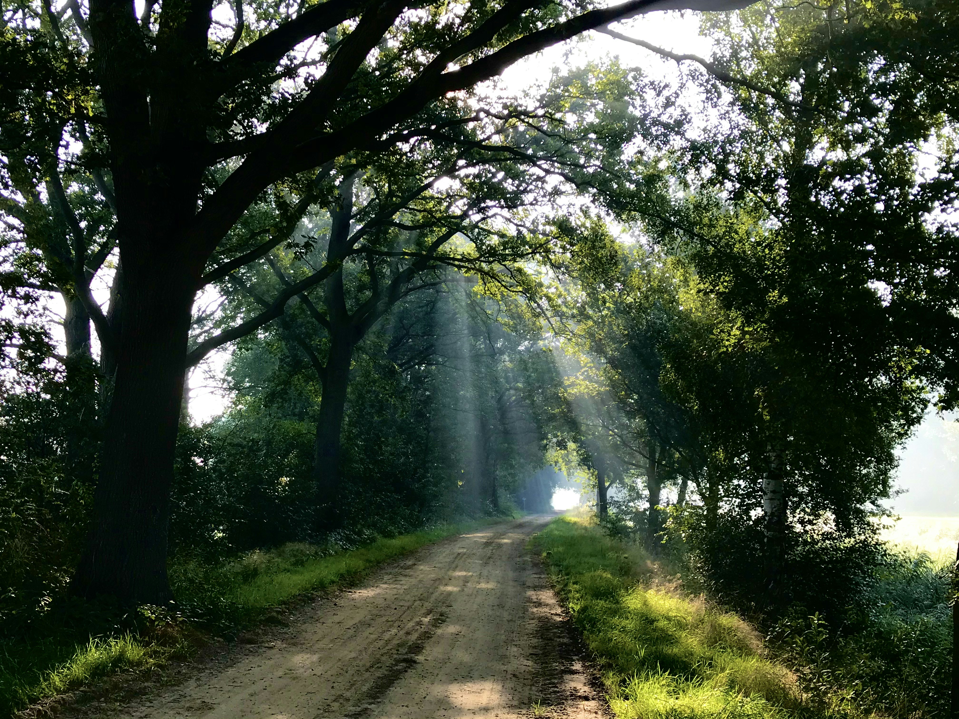 Photo by perryagerbeek