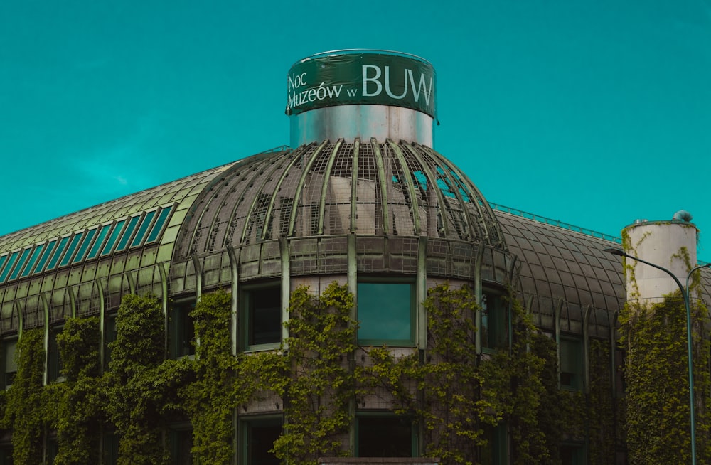 green trees in front of glass building