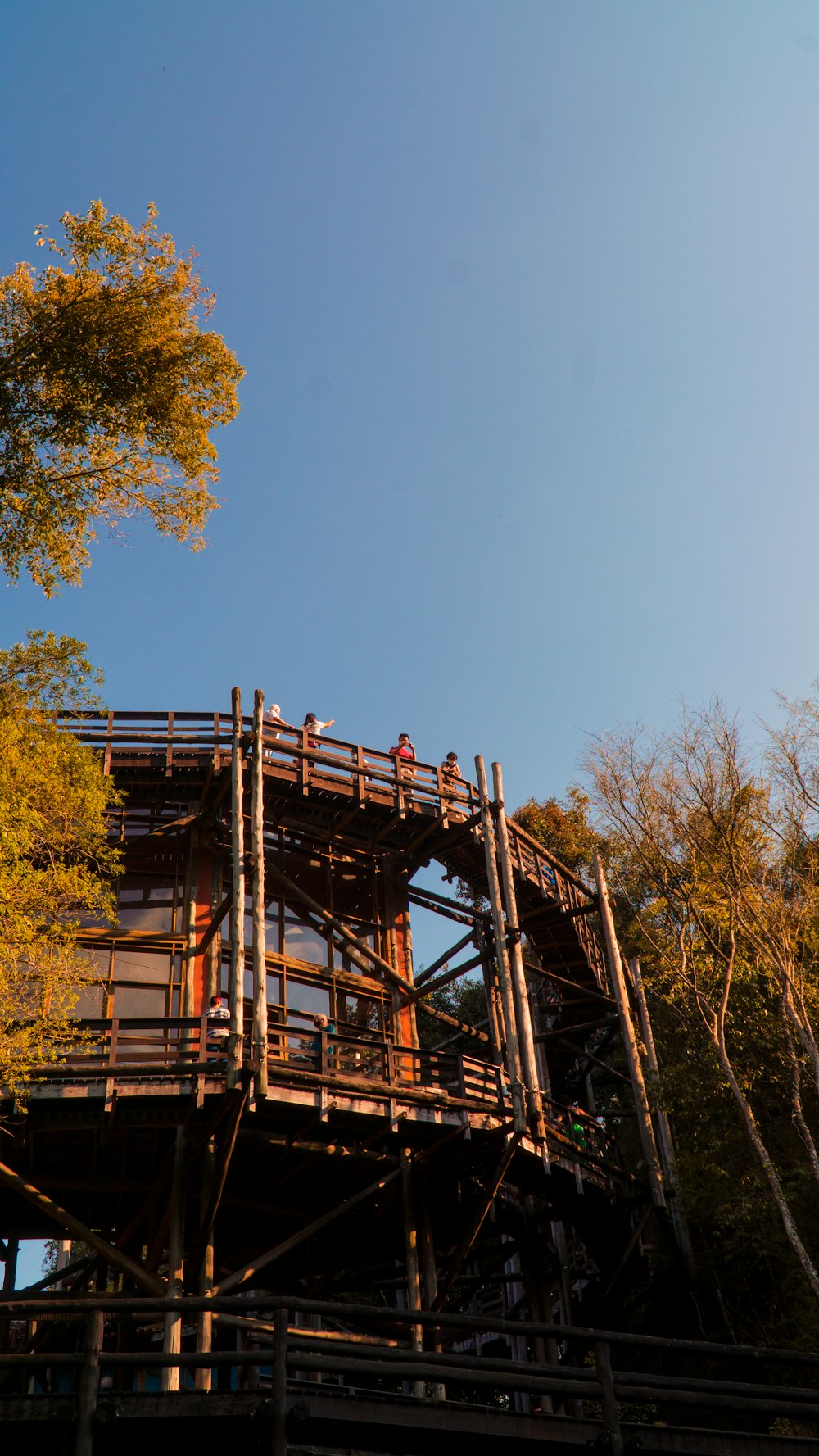 brown wooden bridge over green trees during daytime