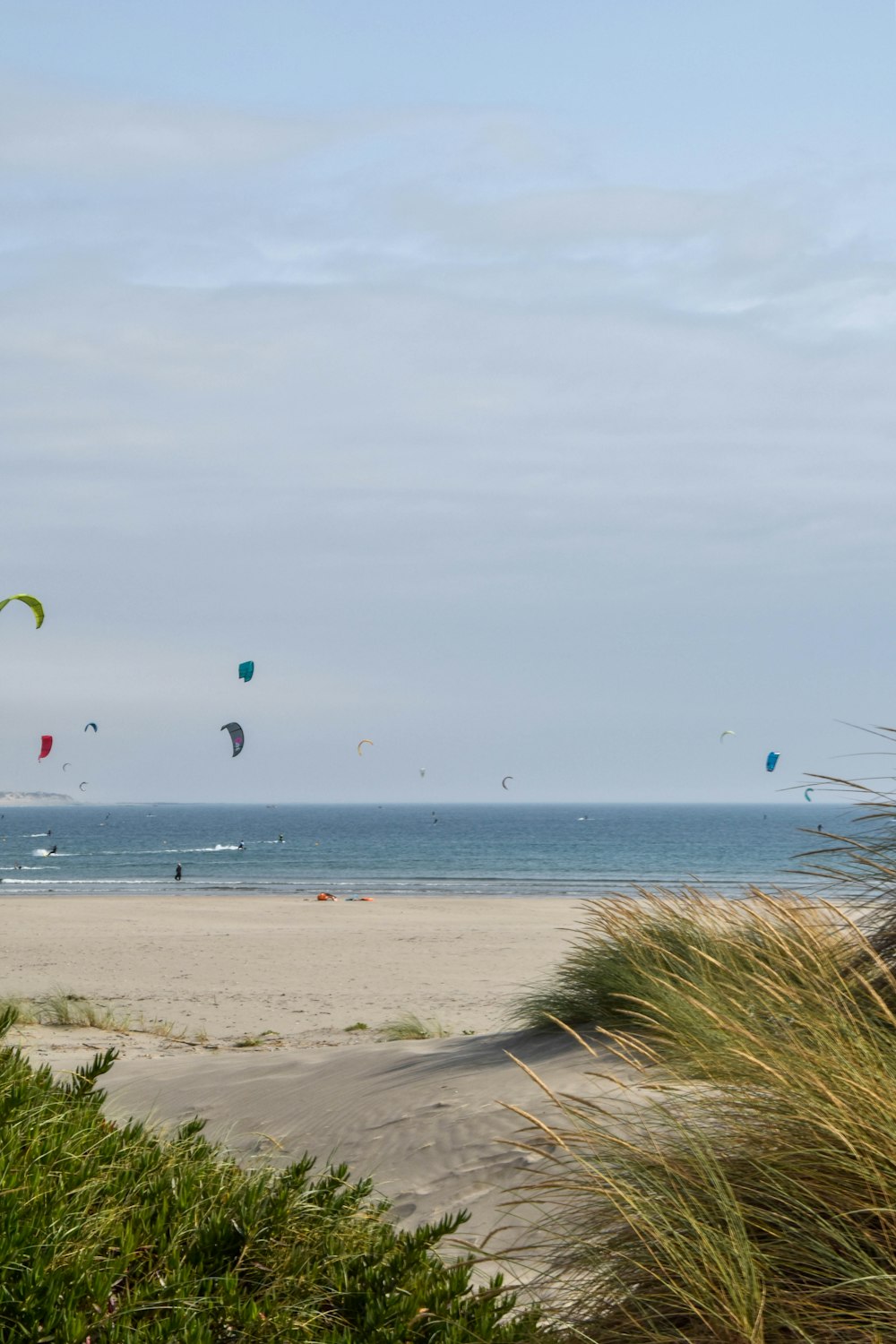 green grass on beach during daytime