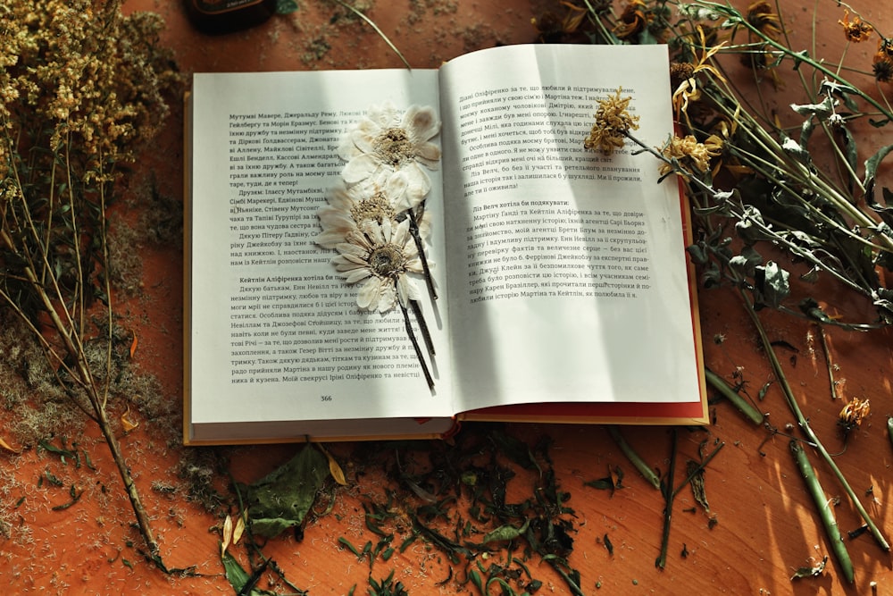 white book page on brown dried leaves