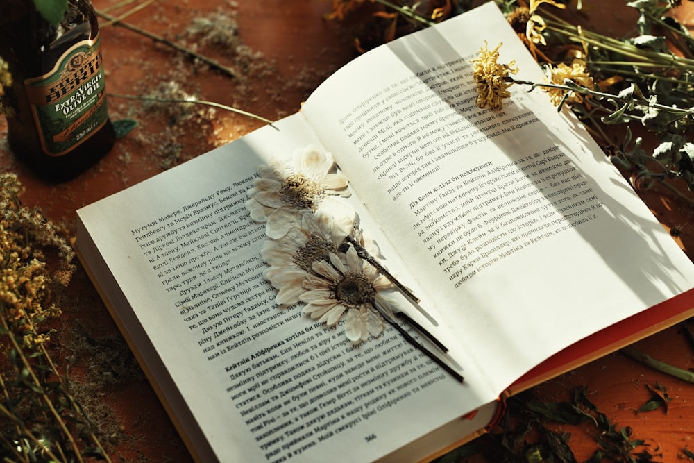 black and white spider on white book page