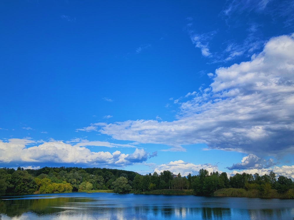 green trees beside lake under blue sky and white clouds during daytime