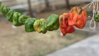 A colorful display of dried bell pepper strips glowing warmly under soft kitchen light.