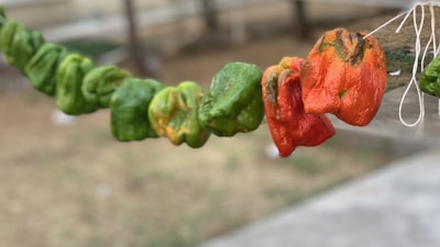 A colorful display of dried bell pepper strips glowing warmly under soft kitchen light.