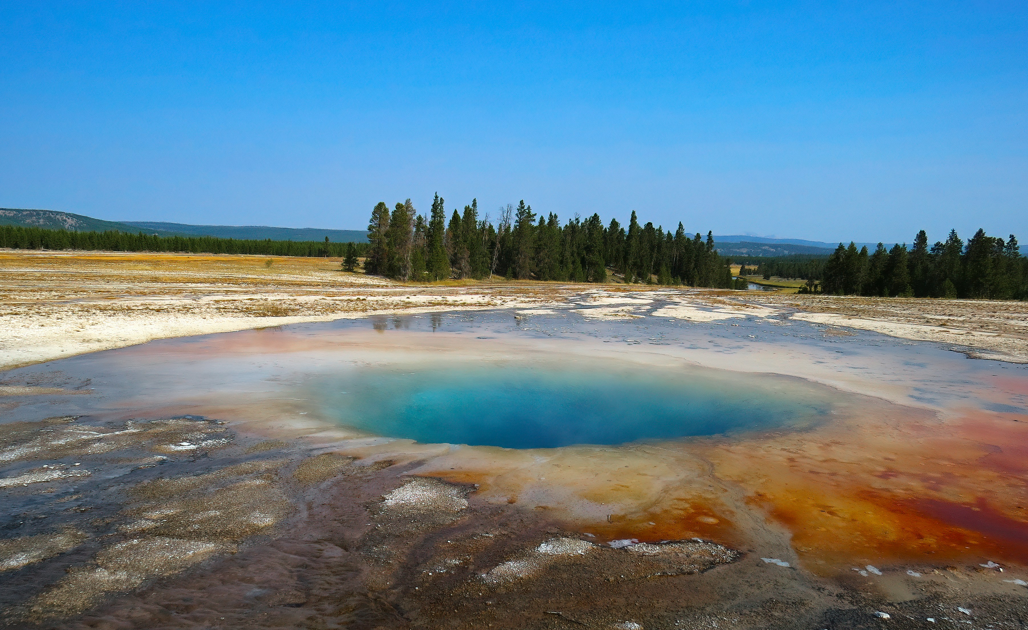 Photo by bullterriere